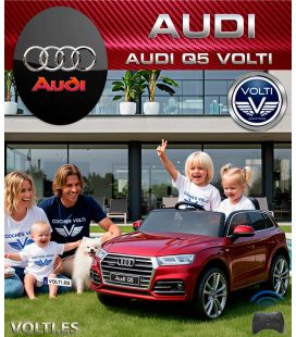 AUDI Q5 POTENCIA 24 VOLTIOS TALLA XL 2 ASIENTOS