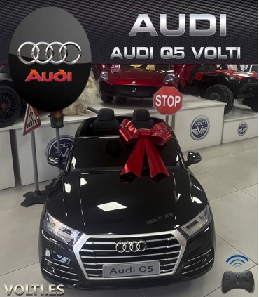 AUDI Q5 TALLA XL 2 ASIENTOS