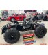 BUGGY PARA NIÑOS POTENCIA 800 WATIOS BATERIA 48V 20Ah TAMAÑO XXXL