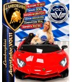 LAMBORGHINI AVENTADOR TALLA XXL CONDUCCIÓN REAL