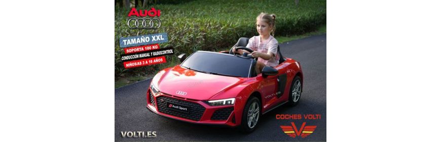 LOS COCHES MOTOR BRUSHLESS