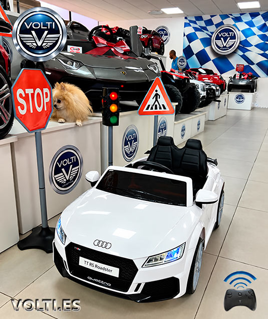 taller-audi-cargador-para-audi-cargador-para-coche-de-nino-bateria-para-moto-de-nino-bateria-12voltios-tienda-de-coches-para-ninos-coches-volti-tienda-de-coches-para-ninos-madrid-audi-electrico-para-ninos