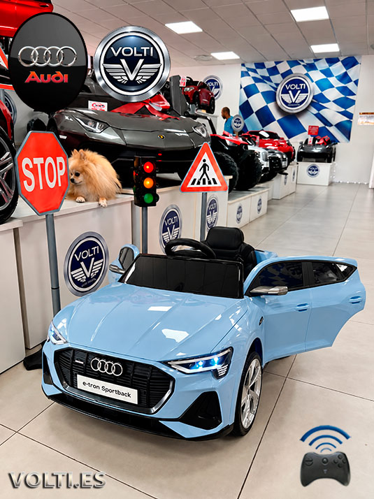 taller-audi-cargador-para-audi-cargador-para-coche-de-nino-bateria-para-moto-de-nino-bateria-12-voltios-tienda-de-coches-para-ninos-coches-volti-tienda-de-coches-para-ninos-madrid-audi-electrico-para-ninos