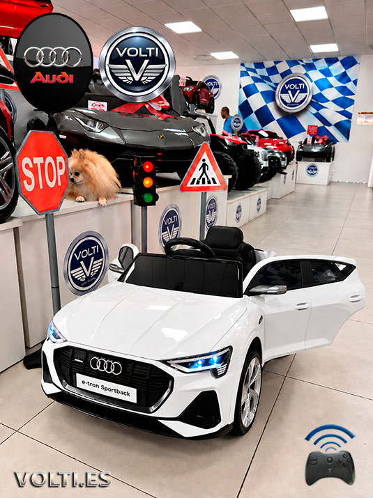 taller-audi-cargador-para-audi-cargador-para-coche-de-nino-bateria-para-moto-de-nino-bateria-12-voltios-tienda-de-coches-para-ninos-coches-volti-tienda-de-coches-para-ninos-madrid-audi-electrico-para-ninos