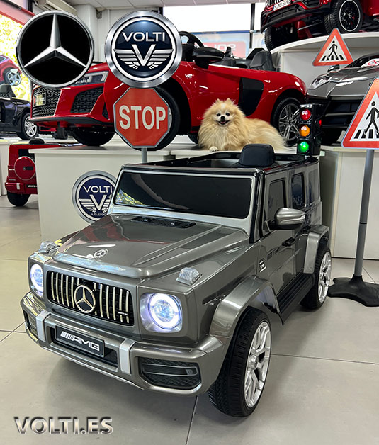 taller-g63-cargador-para-g63-cargador-para-coche-de-nino-bateria-para-mercedes-de-nino-bateria-12voltios-tienda-de-coches-para-ninos-coches-volti-tienda-de-coches-para-ninos-madrid-mercedes-amg-g-63-g-wagen.jpg