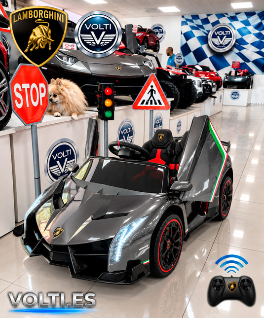 taller-lamborghini-cargador-para-lamborghini-cargador-para-coche-de-nino-bateria-para-lamborghini-de-nino-bateria-12voltios-tienda-de-coches-para-ninos-coches-volti-tienda-de-coches-para-ninos-madrid