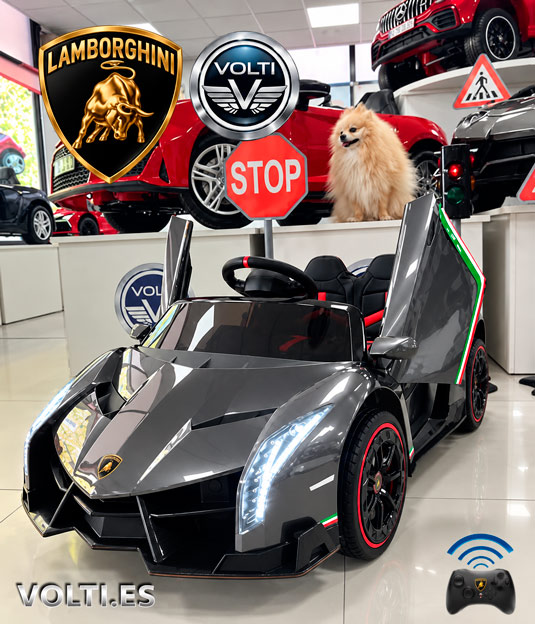 taller-lamborghini-cargador-para-lamborghini-cargador-para-coche-de-nino-bateria-para-lamborghini-de-nino-bateria-12voltios-tienda-de-coches-para-ninos-coches-volti-tienda-de-coches-para-ninos-madrid