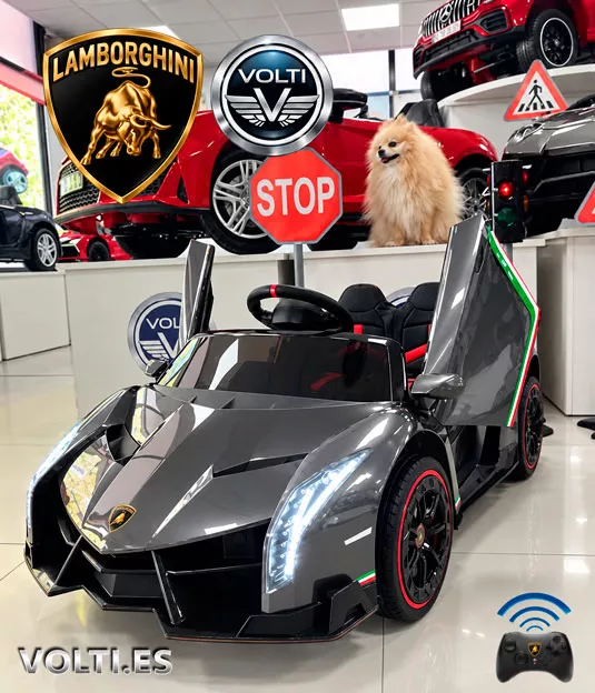 amborghini-coches-para-nino-cargador-24-v-para-lamborghini-cargador-para-coche-de-nino-bateria-para-lambo-de-nino-bateria-
