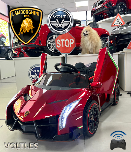 taller-lamborghini-cargador-para-lamborghini-cargador-para-coche-de-nino-bateria-para-lamborghini-de-nino-bateria-12voltios-tienda-de-coches-para-ninos-coches-volti-tienda-de-coches-para-ninos-madrid