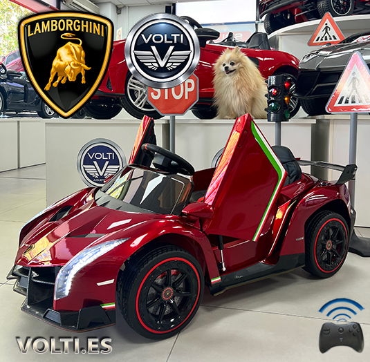 taller-lamborghini-cargador-para-lamborghini-cargador-para-coche-de-nino-bateria-para-lamborghini-de-nino-bateria-12voltios-tienda-de-coches-para-ninos-coches-volti-tienda-de-coches-para-ninos-madrid