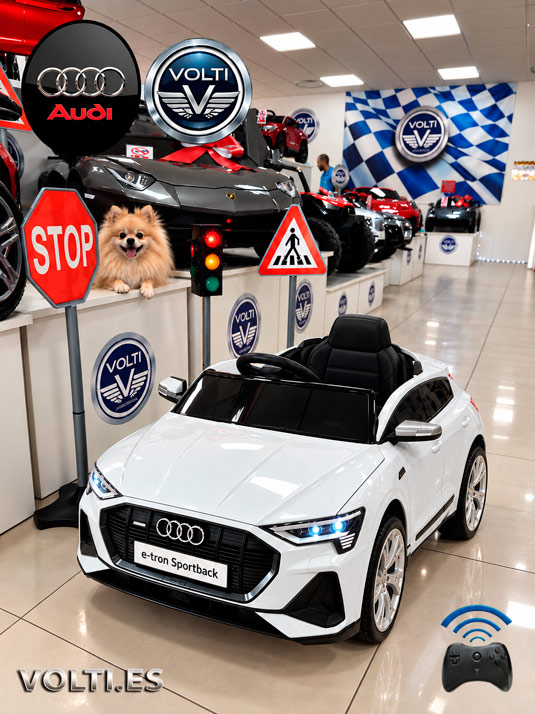 taller-audi-cargador-para-audi-cargador-para-coche-de-nino-bateria-para-moto-de-nino-bateria-12-voltios-tienda-de-coches-para-ninos-coches-volti-tienda-de-coches-para-ninos-madrid-audi-electrico-para-ninos