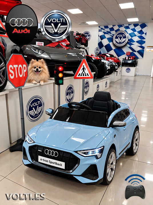 taller-audi-cargador-para-audi-cargador-para-coche-de-nino-bateria-para-moto-de-nino-bateria-12-voltios-tienda-de-coches-para-ninos-coches-volti-tienda-de-coches-para-ninos-madrid-audi-electrico-para-ninos