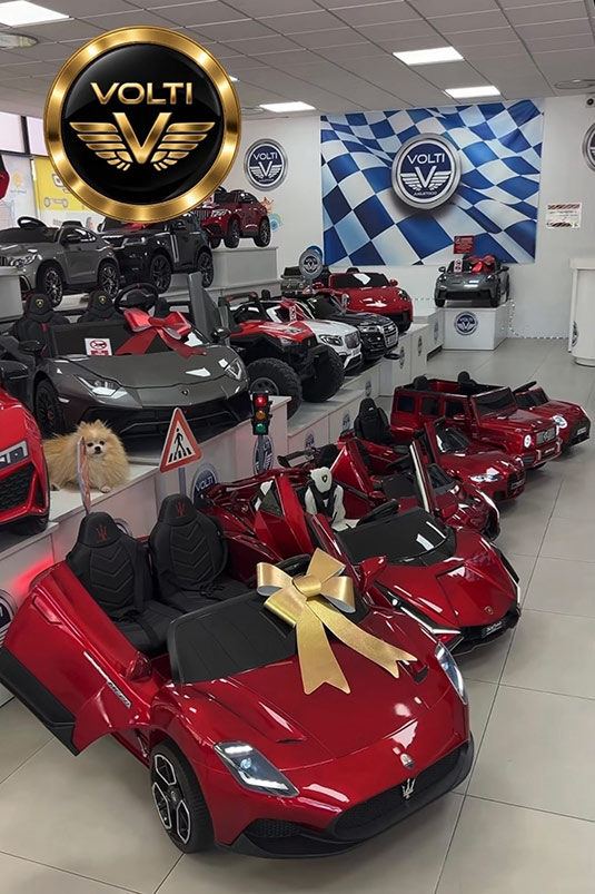tienda-de-coches-para-ninos-coches-electricos-taller-para-coches-electricos-cargador-para-porsche-cargador-para-coche-de-nino-bateria-para-coches-de-nino-bateria-12v-voltios-bateria-de-24v-tienda-de-coches-para-ninos-tienda-de-coches-para-ninos-madrid-