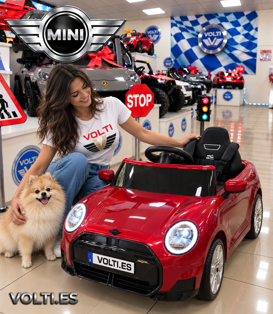 mini-coopers-para-ninos-cargador-para-mini-cooper-cargador-para-coche-de-nino-bateria-para-mini-de-nino-bateria-12-voltios-tienda-de-coches-para-ninos-para-ninos-madrid-