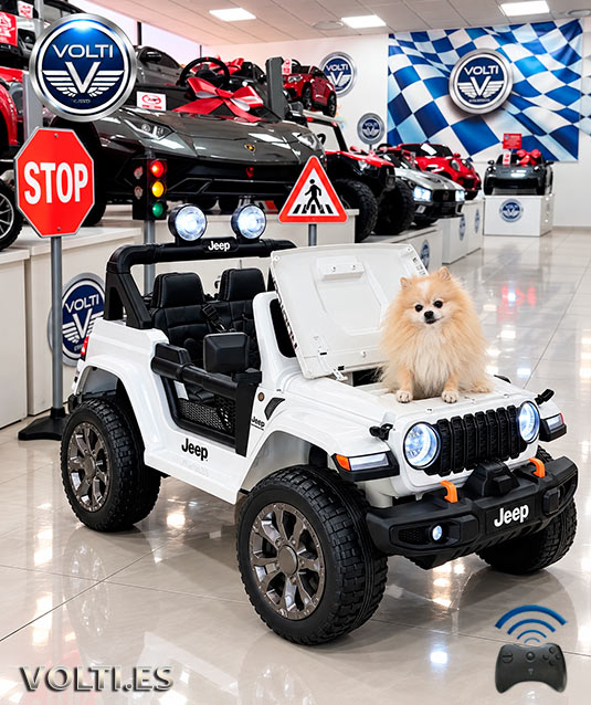 taller-jeep-cargador-para-moto-cargador-para-coche-de-nino-bateria-para-jeep-de-nino-bateria-12voltios-tienda-de-jeep-para-ninos-coches-volti-tienda-de-coches-para-ninos-madrid-